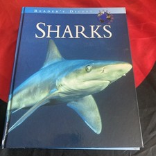books kids shark for sale books kids shark for sale Schenectady
