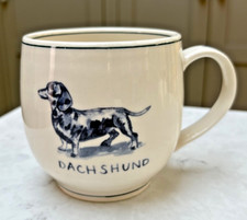 dachshund for sale dachshund for sale SUDBURY