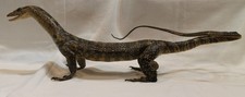 Real monitor lizard for sale  Mansfield