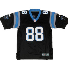 Greg olsen carolina for sale  NOTTINGHAM