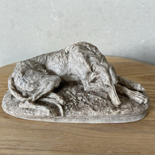 deerhound for sale  SOUTH MOLTON