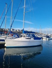 Jeanneau 24.2 sun for sale  NEWTOWNARDS