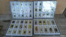 Mallettes insectes inclusions d'occasion  Salernes