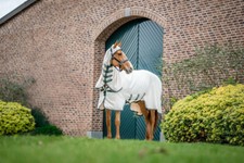 Horseware rambo hoody gebraucht kaufen  Senden