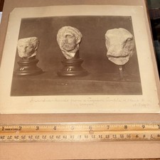 Vintage arcadia heads for sale  Vernon Rockville