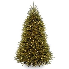 National tree company for sale  Miami