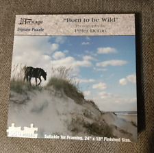Puzzle horse beach for sale  Houston