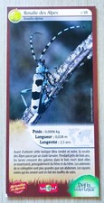 Carte merveilles rosalie d'occasion  Saint-Pierre-d'Oléron