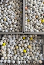100 gebrauchte golfbälle gebraucht kaufen  Stuttgart