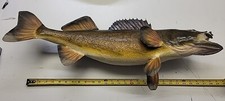 Beautiful real skin for sale  Spring Hill