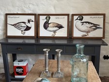 Bilder enten stiche gebraucht kaufen  Bad Kreuznach