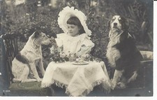 MENINA DE CHAPÉU FABULOSO - DOIS CÃES TERRIER E CÃO OVELHA - CONJUNTO DE MESA PARA CHÁ 1911 PC comprar usado  Enviando para Brazil