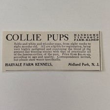 pups farm for sale pups farm for sale Hinckley