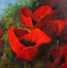Red poppies blooming for sale  Alpharetta