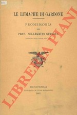 Malacologia strobel le usato  Italia