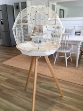 Omlet geo bird for sale  NORWICH