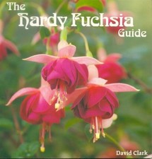 Hardy fuchsia guide for sale  ROSSENDALE