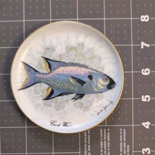 kaiser plate for sale  Dallas