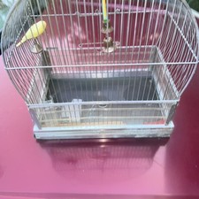 Vintage standing hanging for sale  Swanton