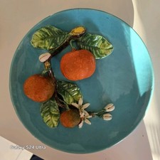 Plan barbotine orange d'occasion  Bailleul