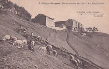 Lucca san pellegrino usato Lucca san pellegrino usato  San Germano Vercellese