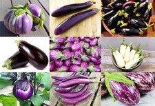 Please read mix for sale  Denver