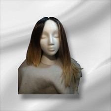 Ombre synthetic wig for sale  Pittston