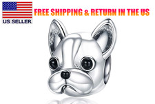 French bulldog dog for sale  Westminster