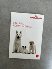 Hund kommt ins gebraucht kaufen  Viernheim