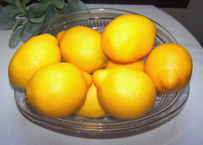 Set faux fruit for sale  Greenfield