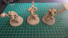 Age sigmar seraphon for sale  WORCESTER