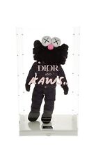 Rare kaws dior for sale  Ambler