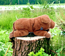 Gund collectors classics for sale  Monkton
