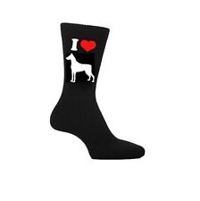 Love doberman dog for sale  SOUTHEND-ON-SEA