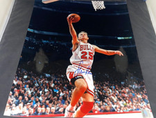 Steve kerr chicago for sale  Rubicon