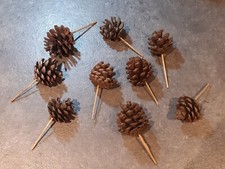 Real pine cones for sale  MANCHESTER