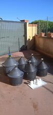 Damigiane per vino usato  Marcellinara