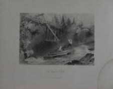 American history timber for sale  Mishawaka