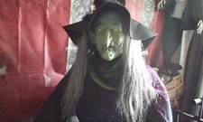 Gemmy halloween animatronic for sale  DONCASTER
