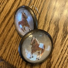 Antique glass domed for sale  Conde