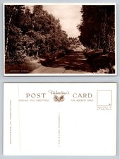 Staffordshire cannock chase for sale  TELFORD