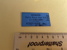 Chulmleigh poultry pigeon for sale  BEXHILL-ON-SEA