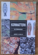 Kornnattern terrarium jerry gebraucht kaufen  Dinslaken