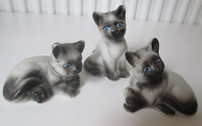 Matching siamese kitten for sale  LUTON