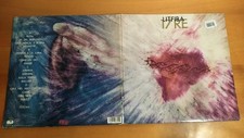 Litfiba vinile originale usato  Pietragalla