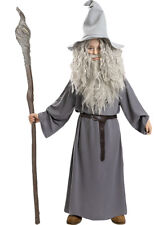 Ffizielles gandalf kostüm gebraucht kaufen  Deutschland