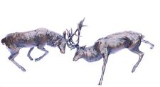 Duel rutting stags for sale  TEWKESBURY