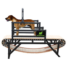 Dog treadmill suitable for sale  Chino