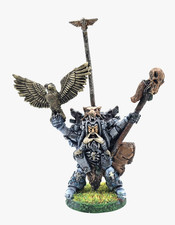 Njal stormcaller space gebraucht kaufen  Puderbach