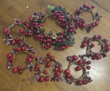 Cranberry berries christmas for sale  Leesburg